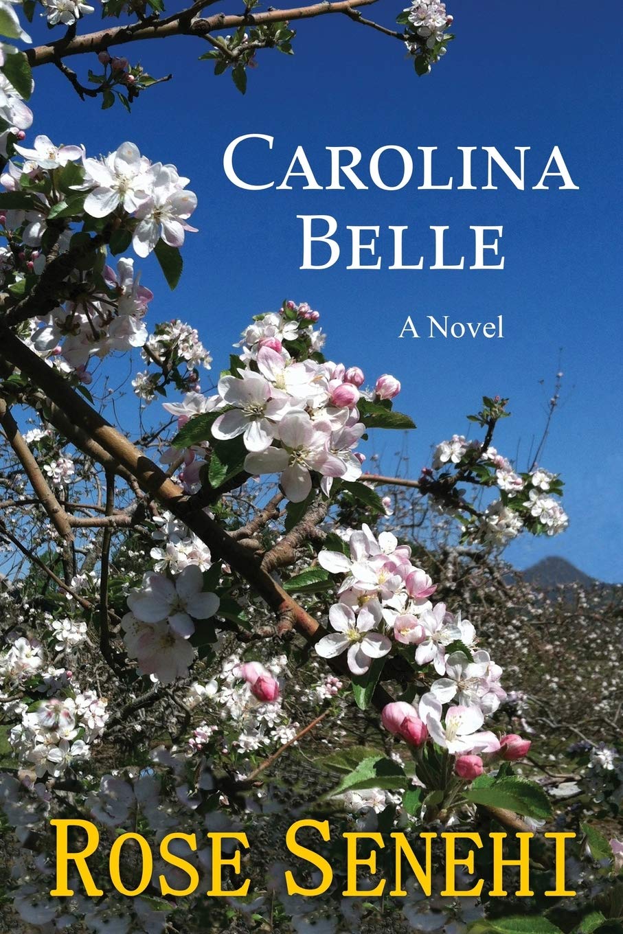 Carolina Belle: A Novel (Historic Fiction Blue Ridge Mountains)