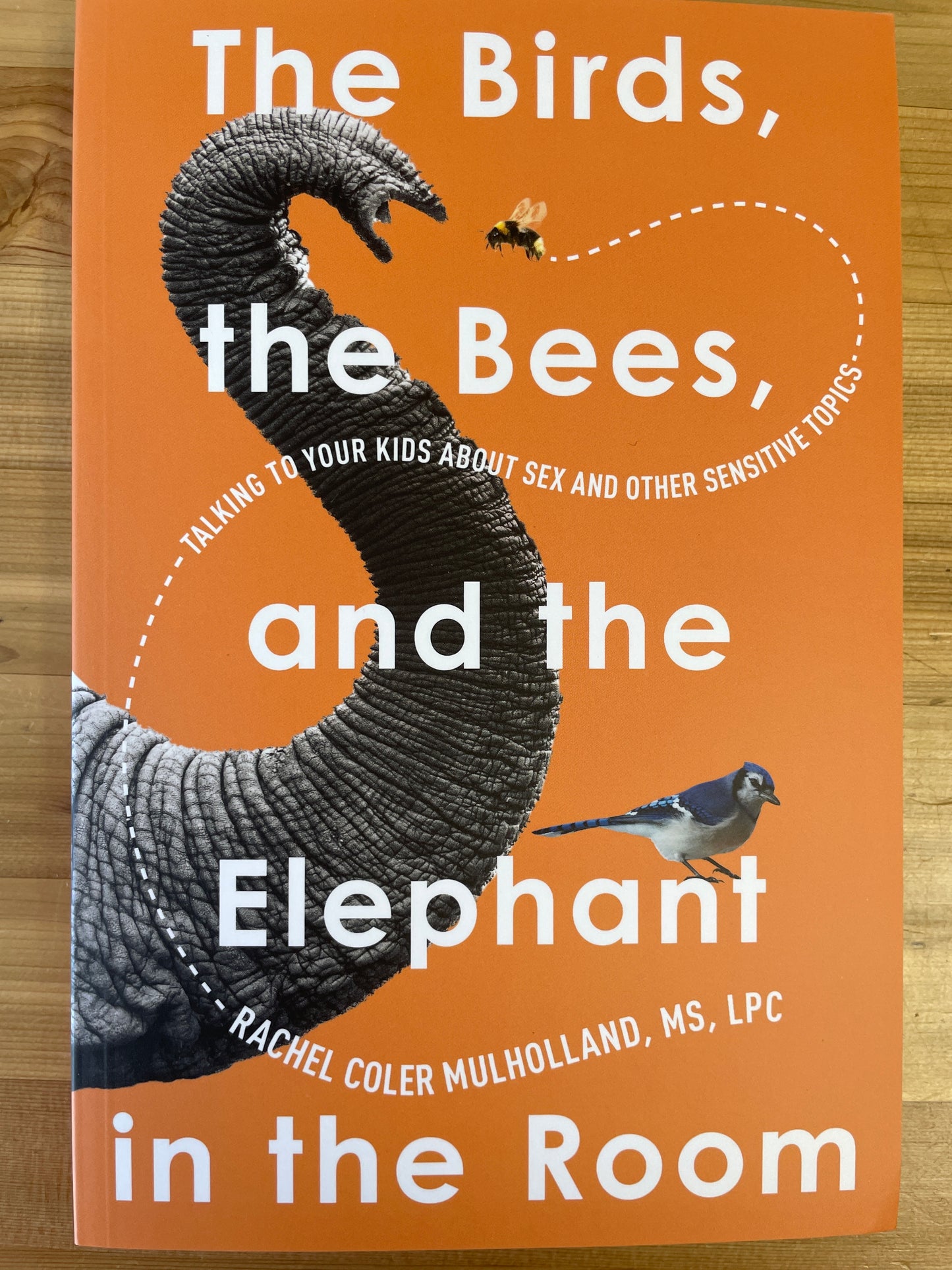 Birds, the Bees, and the Elephant in the room, The by Rachel Coker Mulholland, MS, LPC