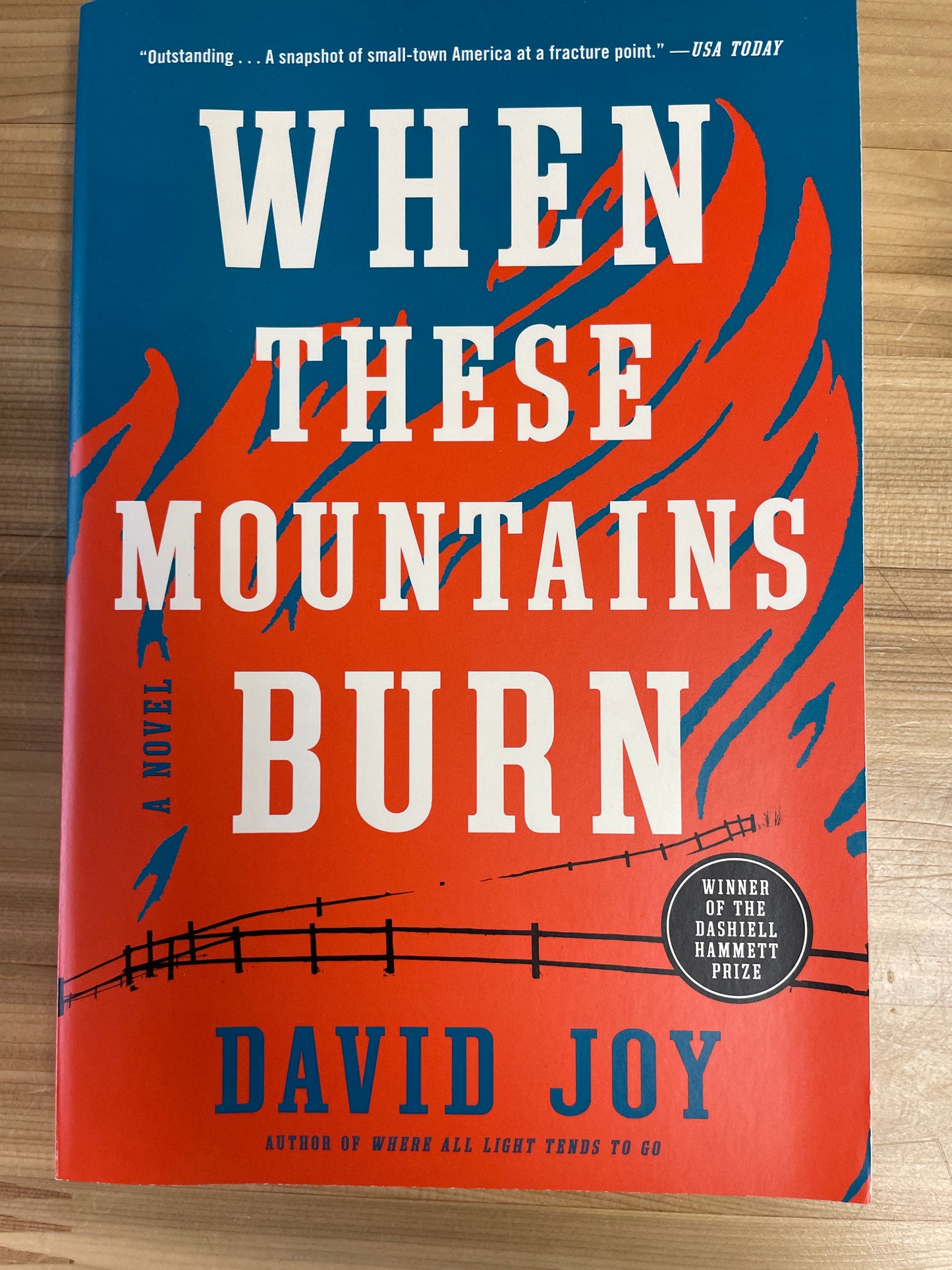 When These Mountains Burn by David Joy