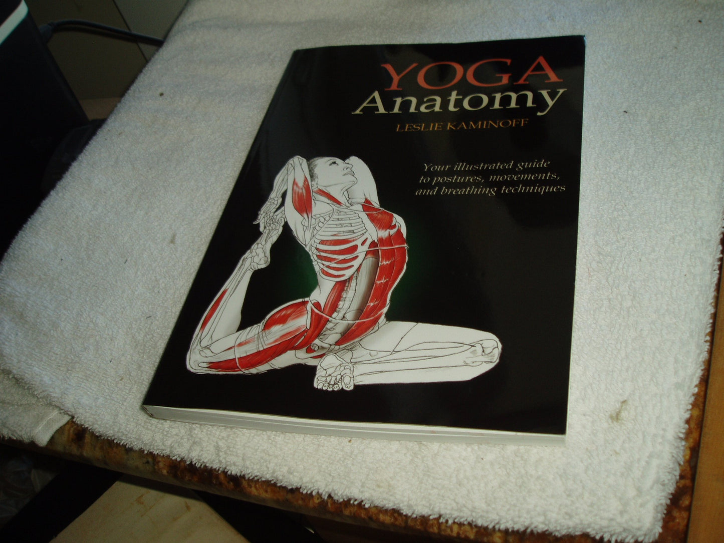 Yoga Anatomy