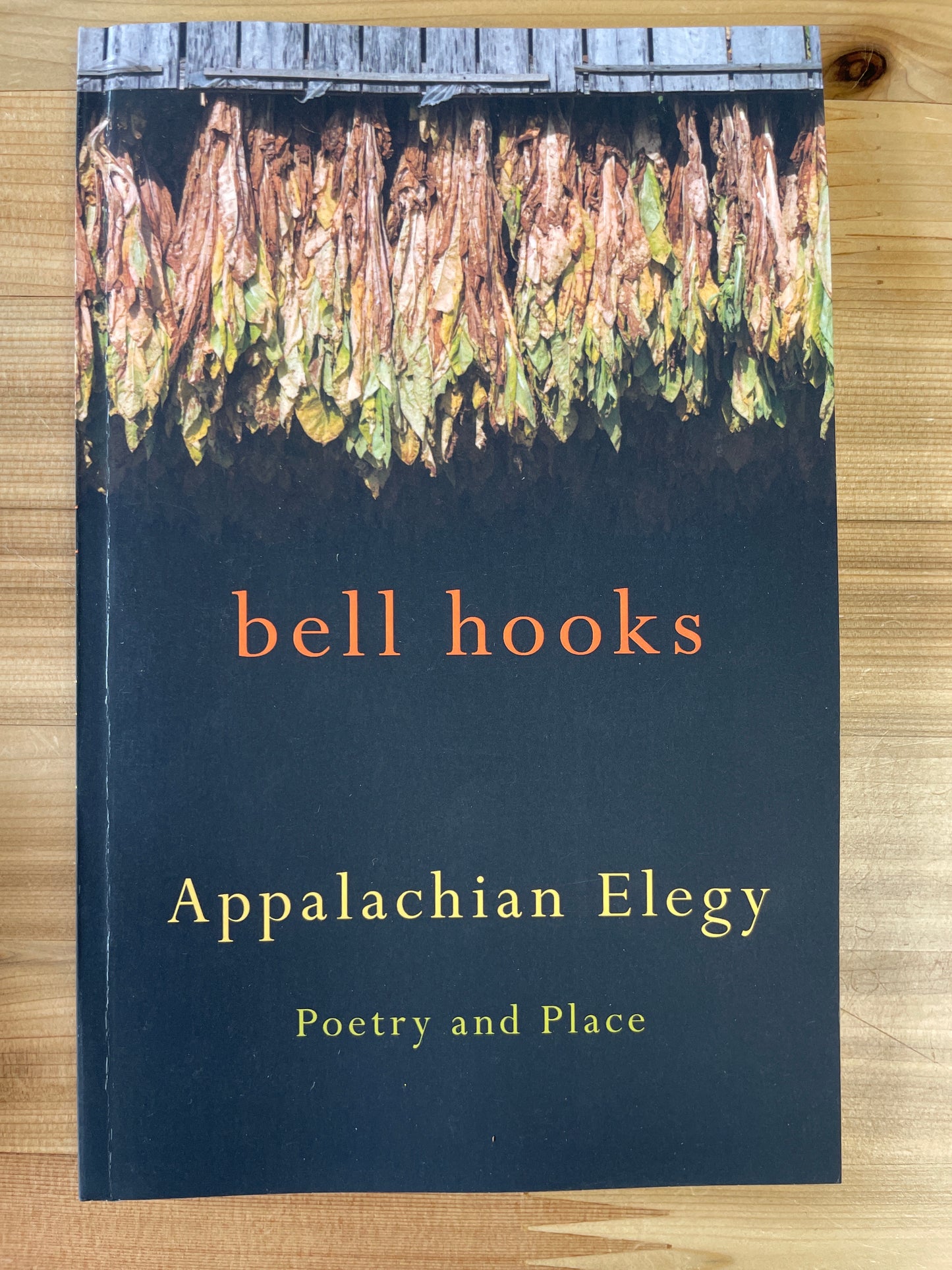 Appalachian Elegy by bell hooks