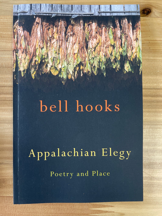 Appalachian Elegy by bell hooks