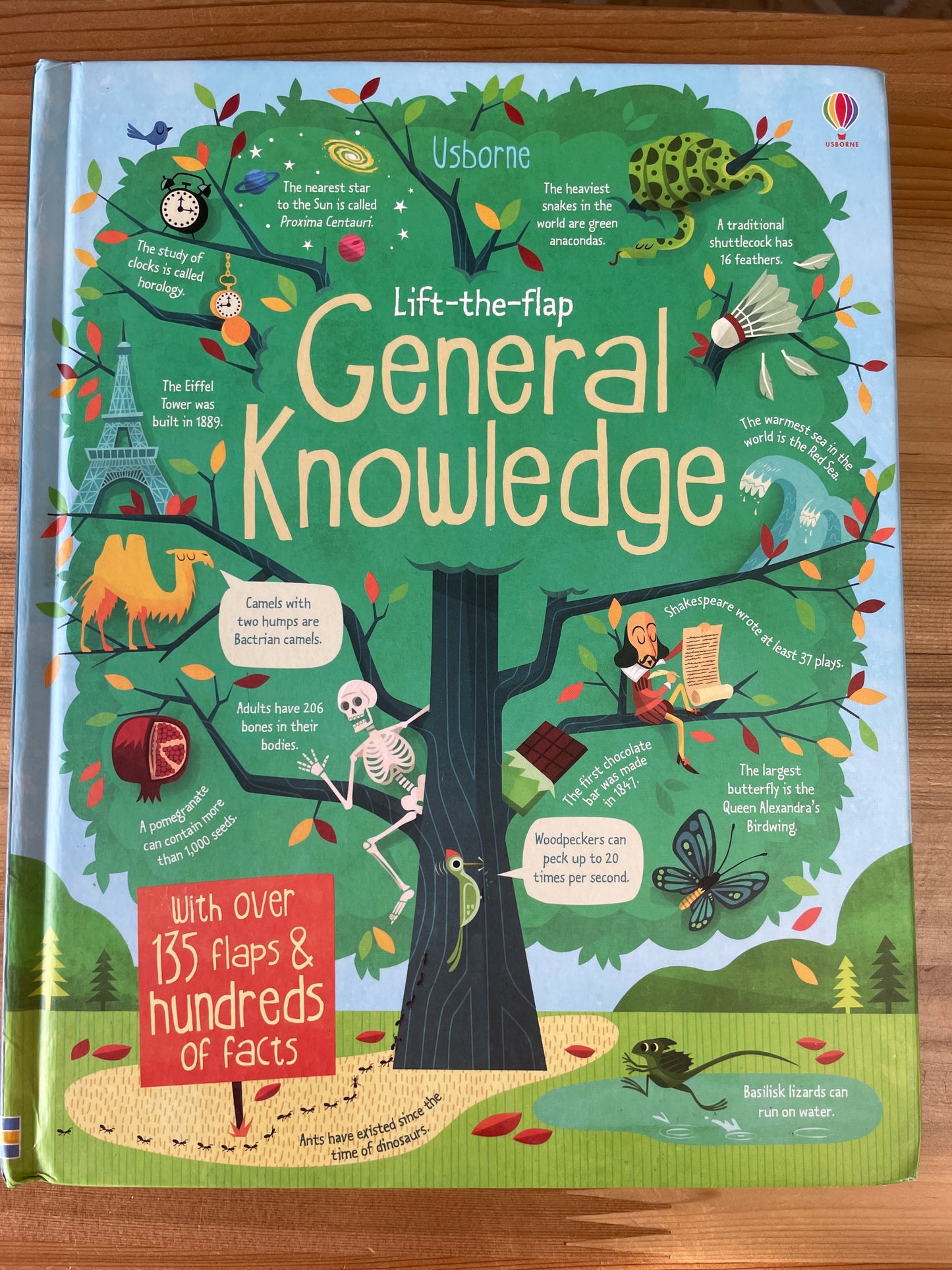 General Knowledge, an Usborne Lift-the-flap book