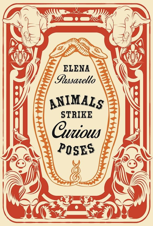 Animals Strike Curious Poses