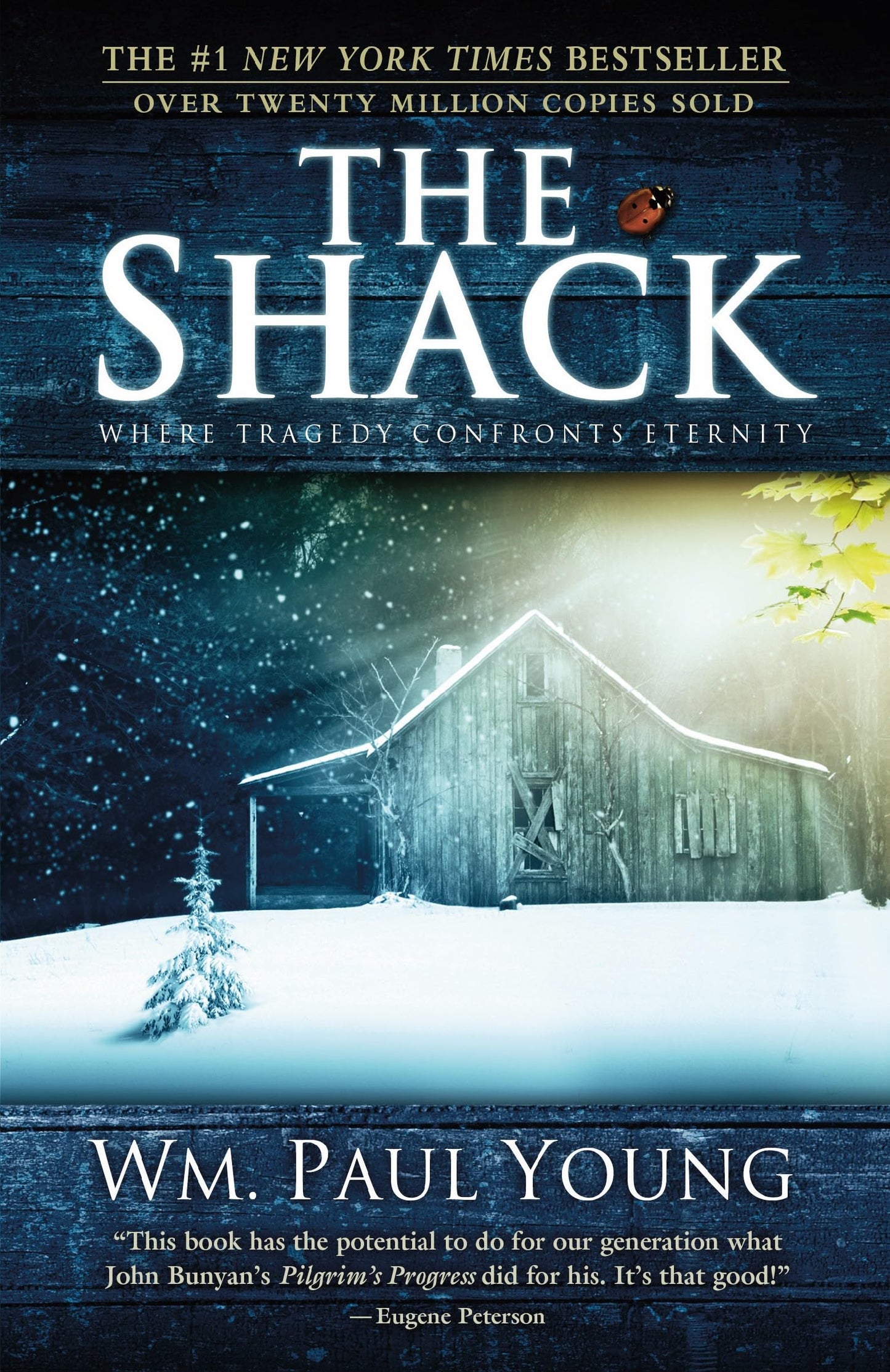 The Shack: Where Tragedy Confronts Eternity