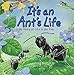 It's an Ant's Life