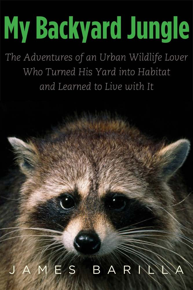 My Backyard Jungle: The Adventures of an Urban Wildlife Lover Who Turned His Yard into Habitat and Learned to Live with It