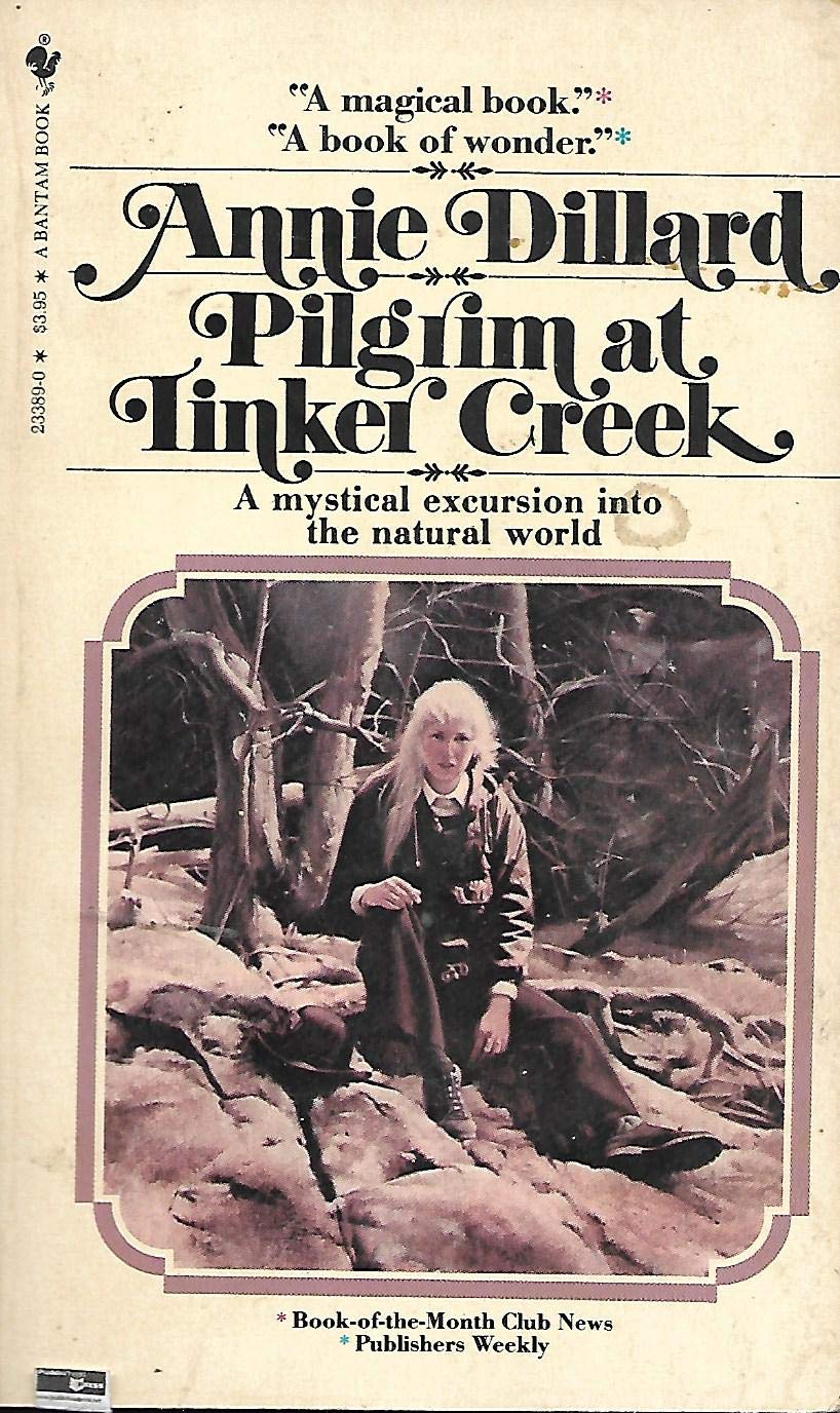 Pilgrim at Tinker Creek