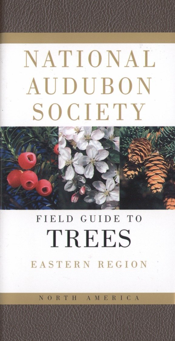 Audubon Society Field Guide to North American Trees: Eastern Region