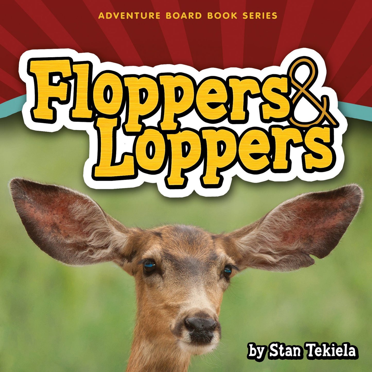 Floppers & Loppers (Adventure Boardbook Series)
