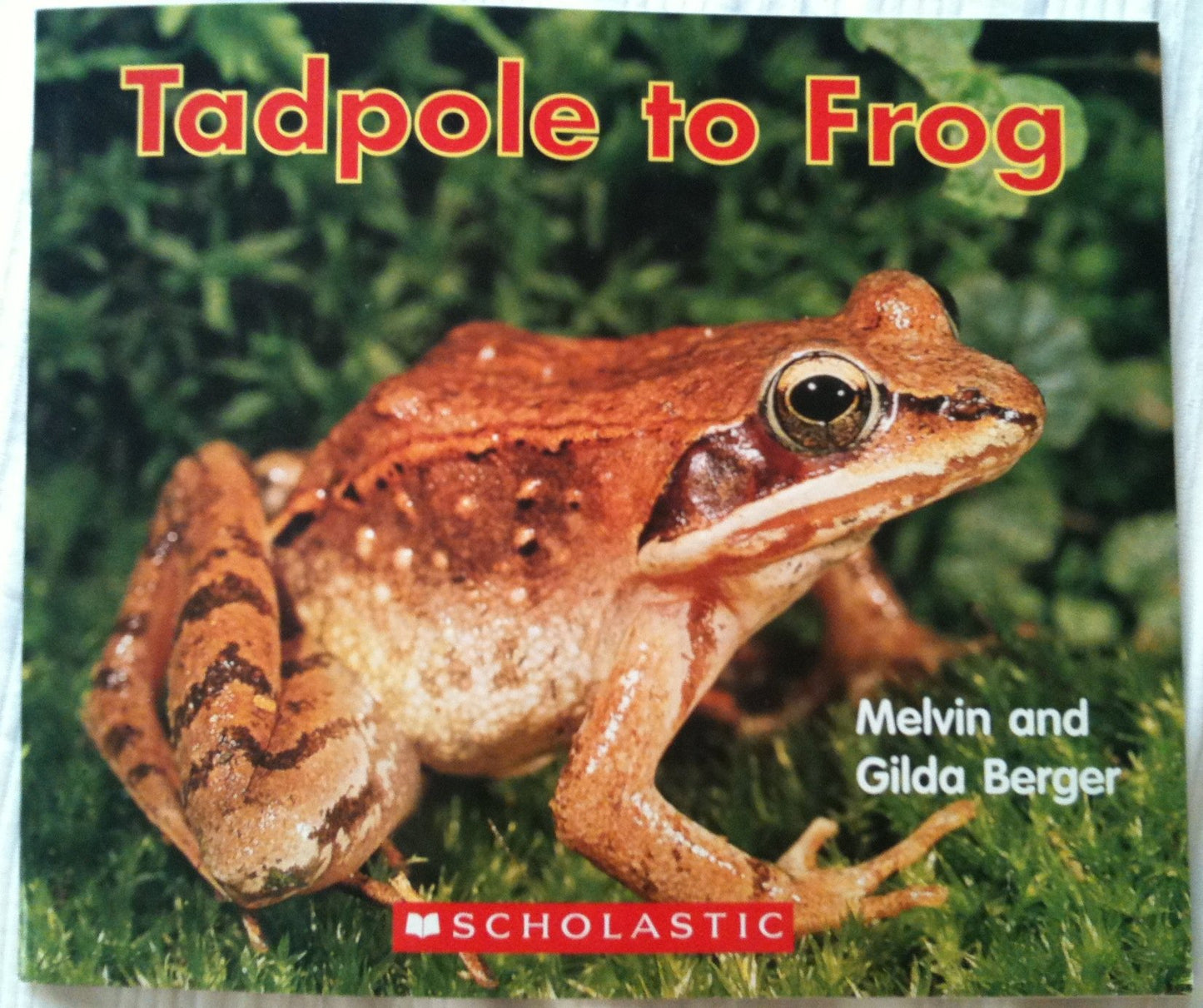 Tadpole to Frog (Scholastic Readers)