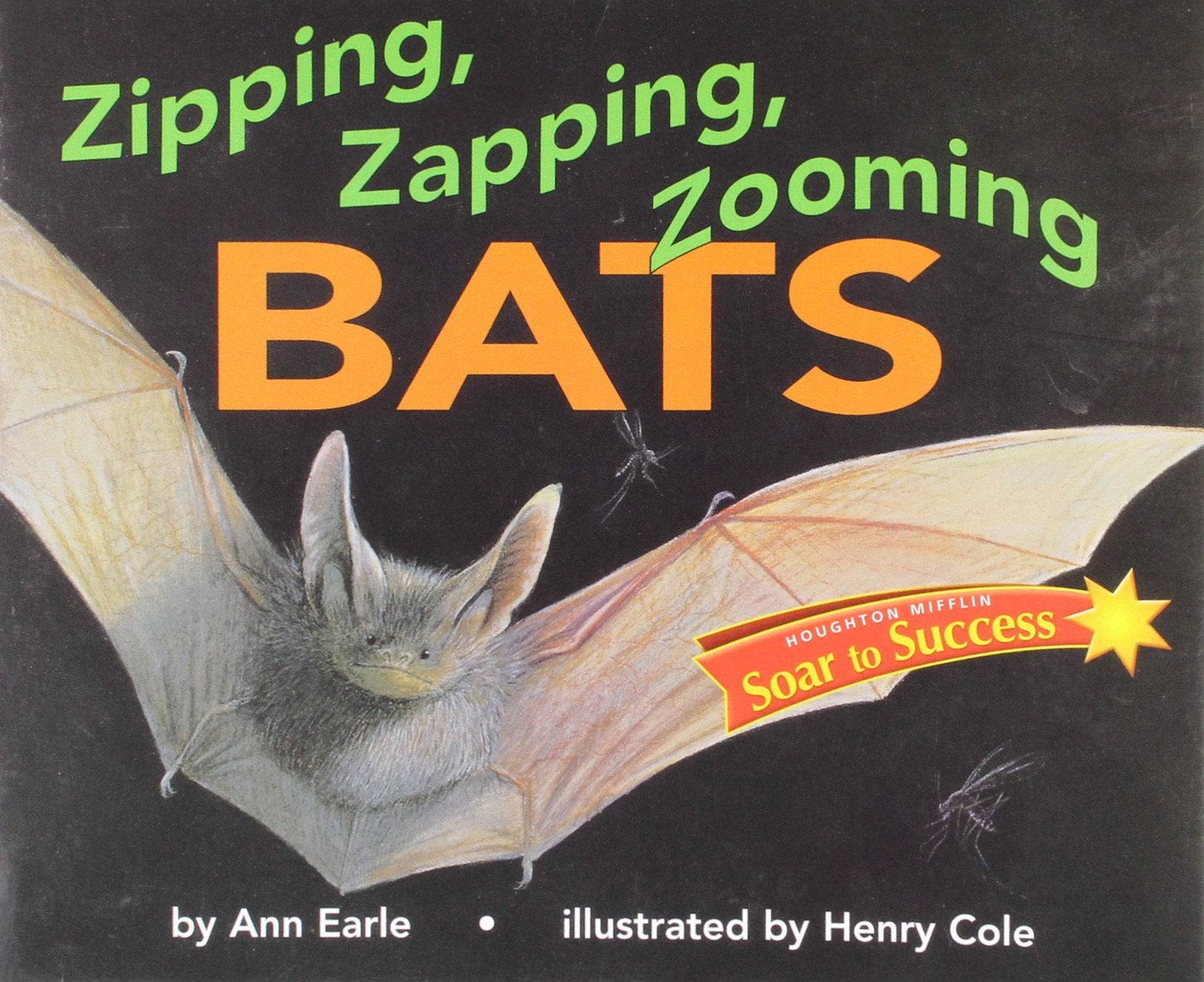 Houghton Mifflin Soar to Success: Zipping Zapping Lv 4 ZIPPING ZAPPING (Read Soar to Success 1999)