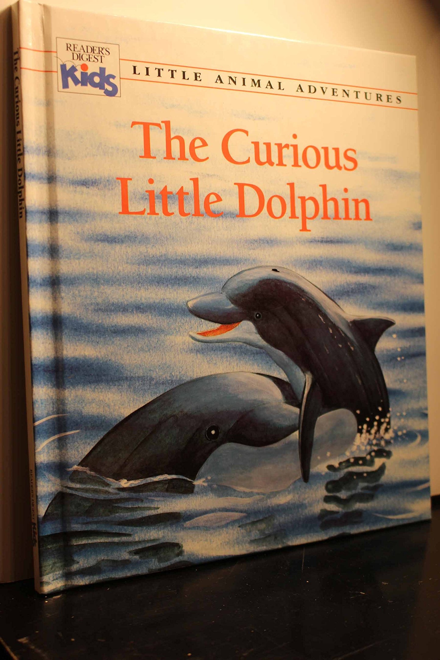 The Curious Little Dolphin (Little Animal Adventures) (Reader's Digest Kids)