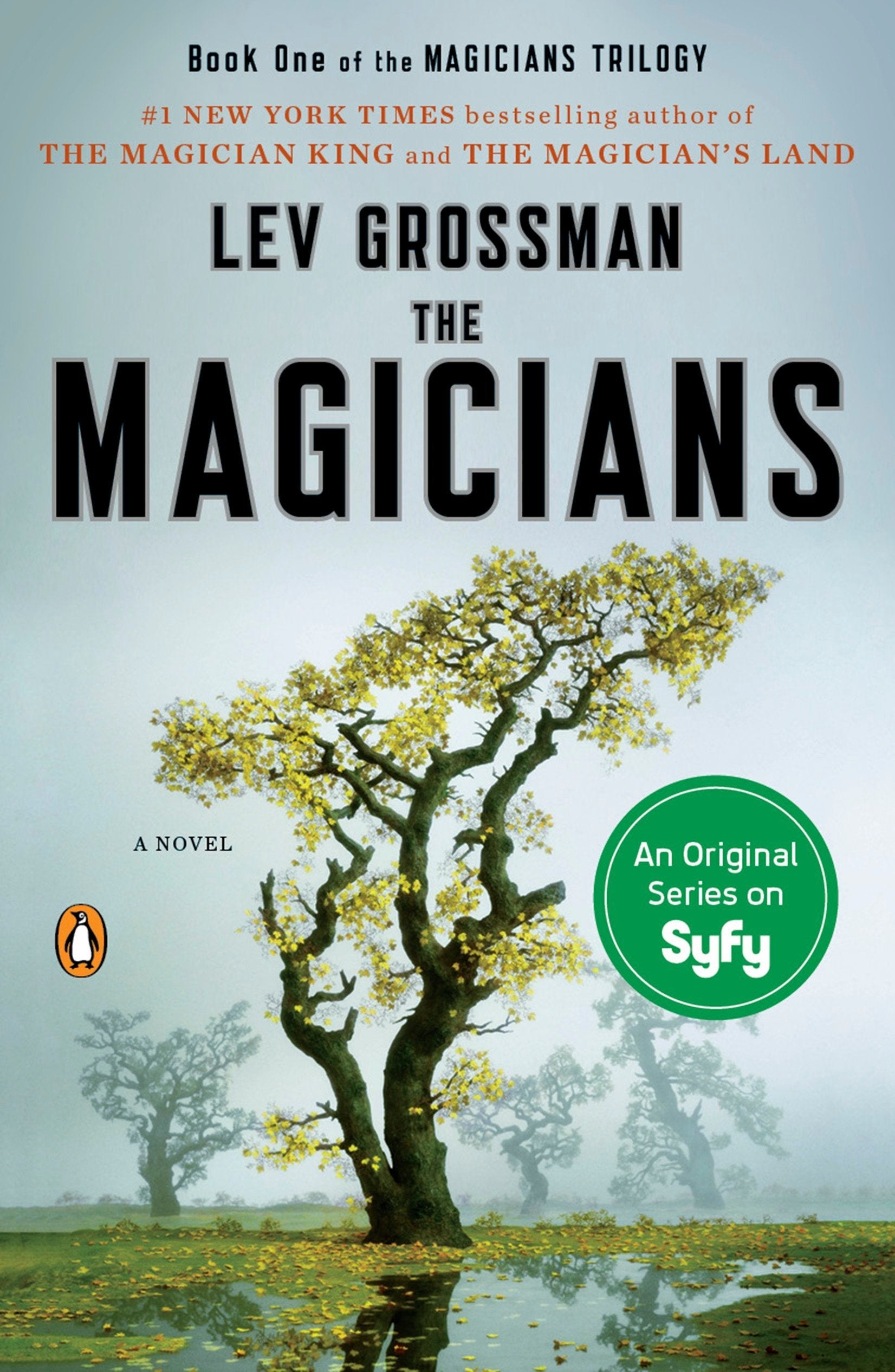 The Magicians: A Novel (Magicians Trilogy)